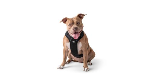 GF PET Travel Harness -Black (size: S)