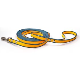 Durable material New style two-color training rope Tangle-free Soft on pet 4.92FT Obedience training Daily walk training Park training  Evening/e (Color: Orange-blue, size: 5M)